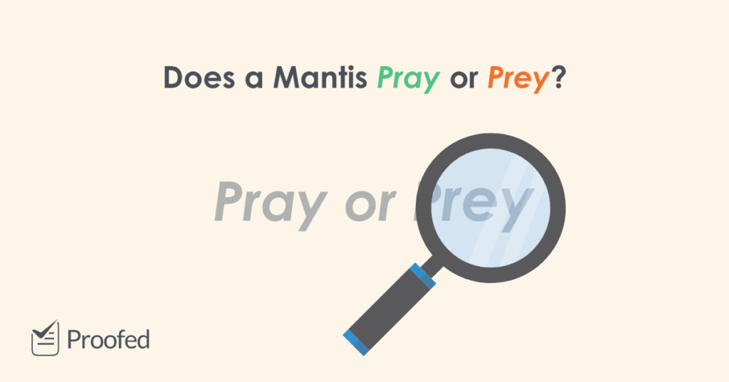 Pray vs. Prey