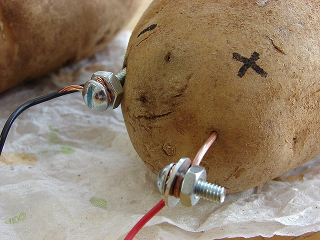 Important potato research.