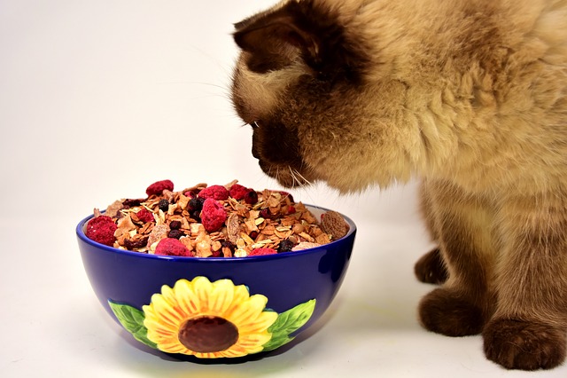 The other cat out of the five prefers granola.