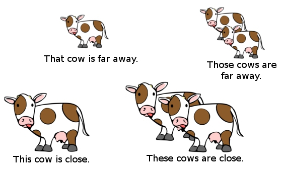 We can illustrate this via cartoon cows at various distances.