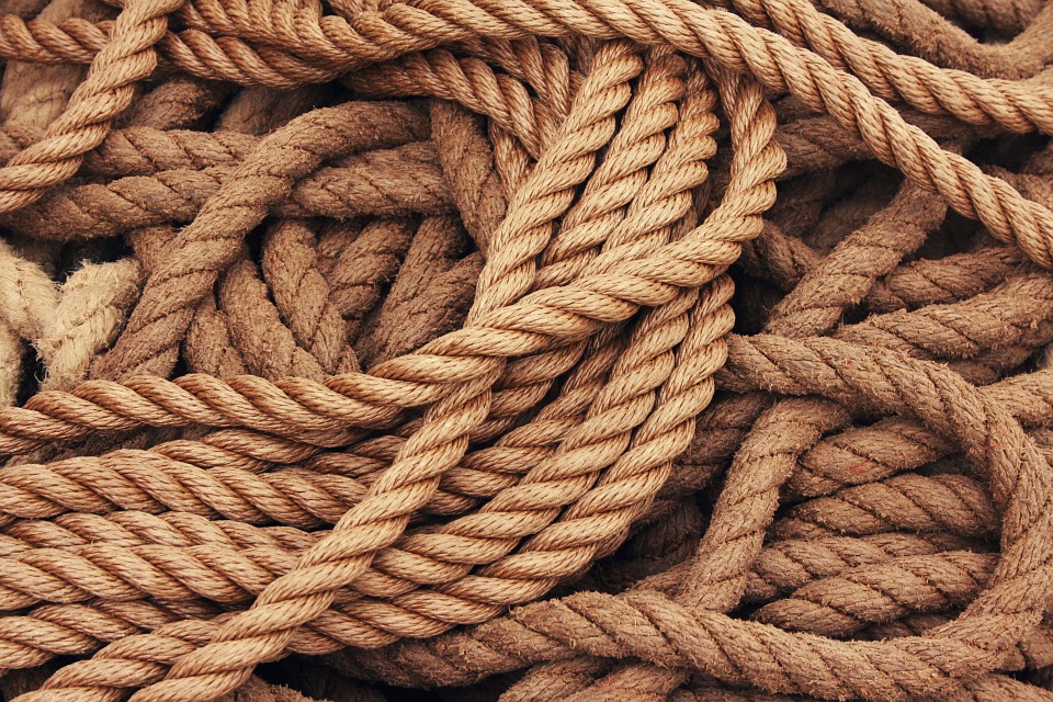 Typical pirate pep talk for new recruits: 'One of these ropes will save you. The others lead to certain death. Good luck, kid.'