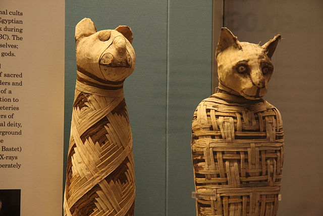 Or "Mummies AND Cats." (Photo: Mario Sánchez/wikimedia)