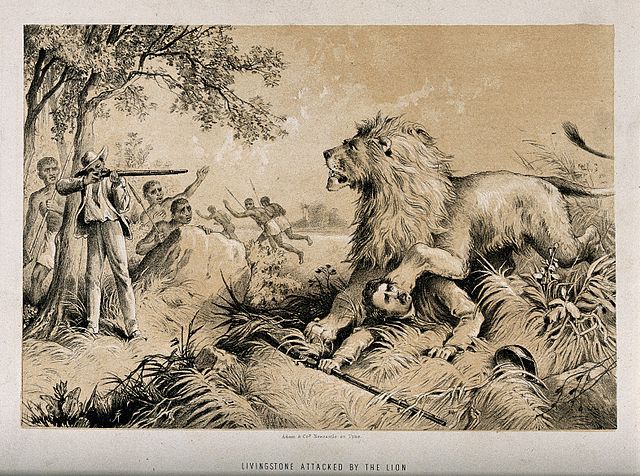 This made him an easy target for wildlife. (Image: Wellcome Images/wikimedia)
