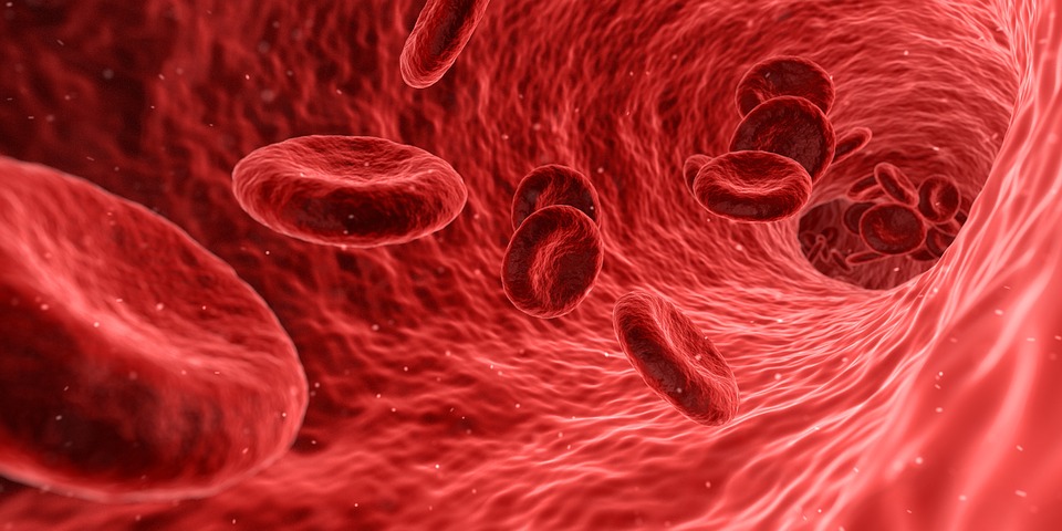 Blood cells.