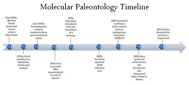 Like a timeline, but a bit more wordy.