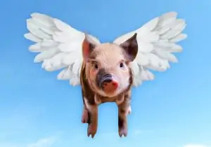 "Contrary to previous research, this study suggests that pigs can actually fly. This may have major implications for the production of bacon."