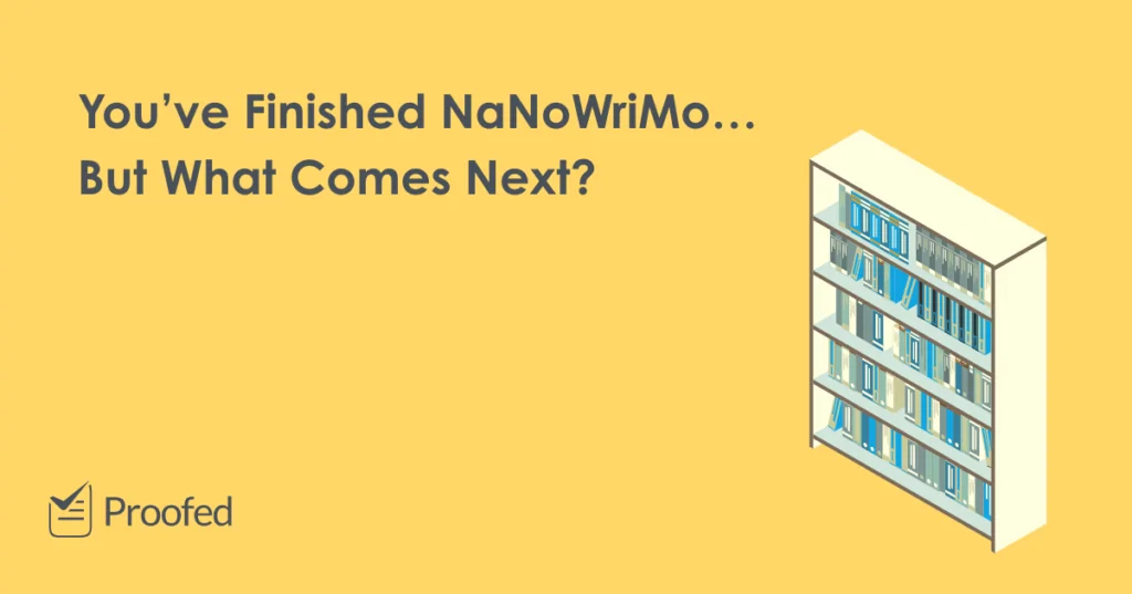 NaNoWriMo What Comes Next