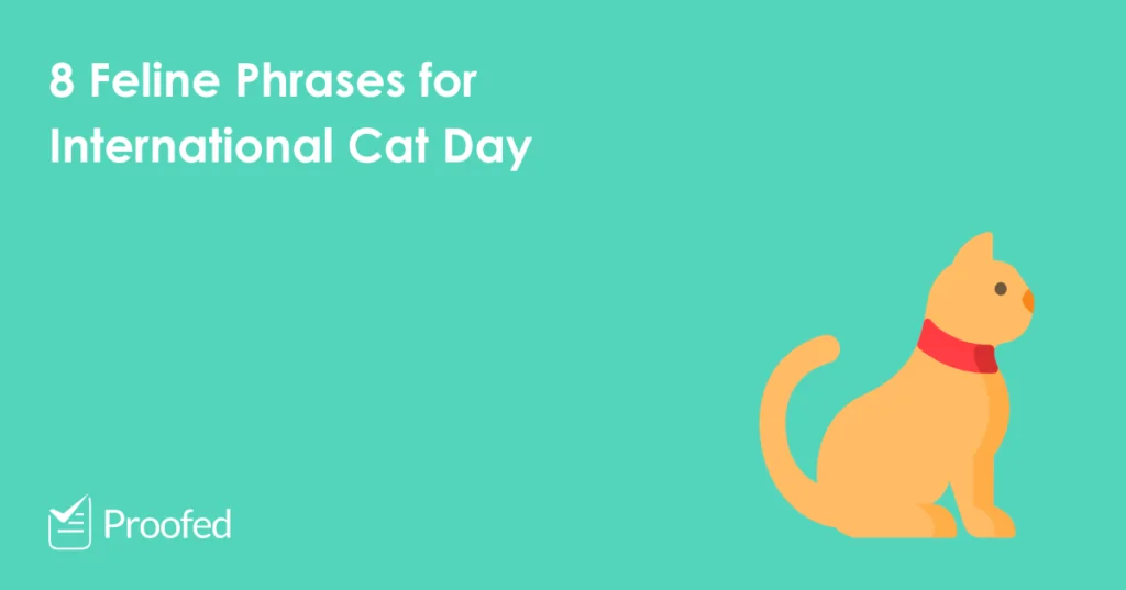 8 Feline Phrases for International Cat Day